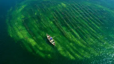 The Science Behind Paddle Aerators and Their Impact on Aquatic Life