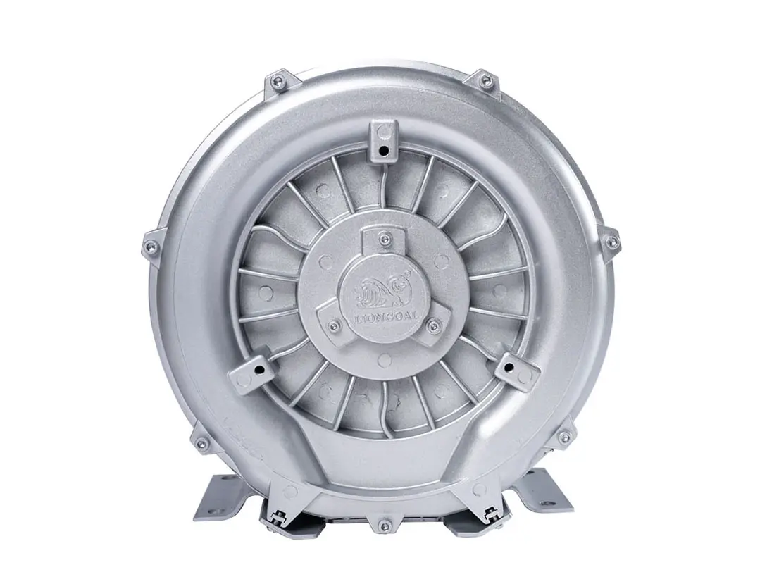 Regenerative Blower-2.jpg