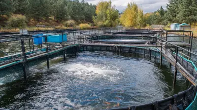 7 Secrets to Choosing the Best Floating Pump Aerator for Your Aquaculture Needs